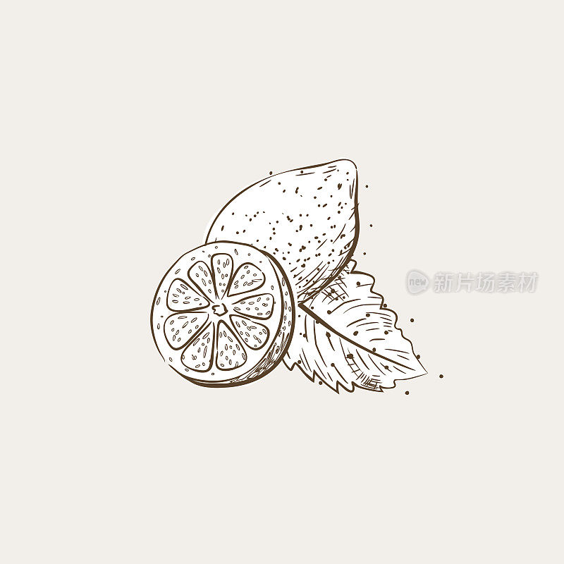 Vintage Style Hand Drawn Fruit With Texture